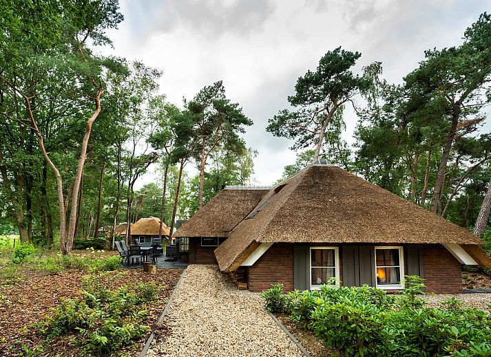 Vacation home Sprielderbosch 24 'Rijckholt' in Putten, Veluwe surrounded by green nature and rustic architecture.