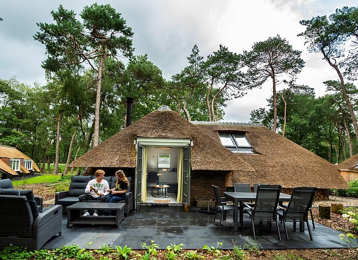 Vacation home Sprielderbosch 24 'Rijckholt' in Putten, Veluwe surrounded by green nature and rustic architecture.