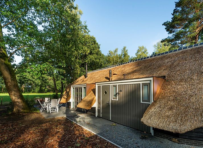 Geniessen Sie die Ruhe und den Frieden auf der Veranda des Ferienhauses Sprielderbosch 31 Lindenhorst in Putten, Veluwe, Gelderland.