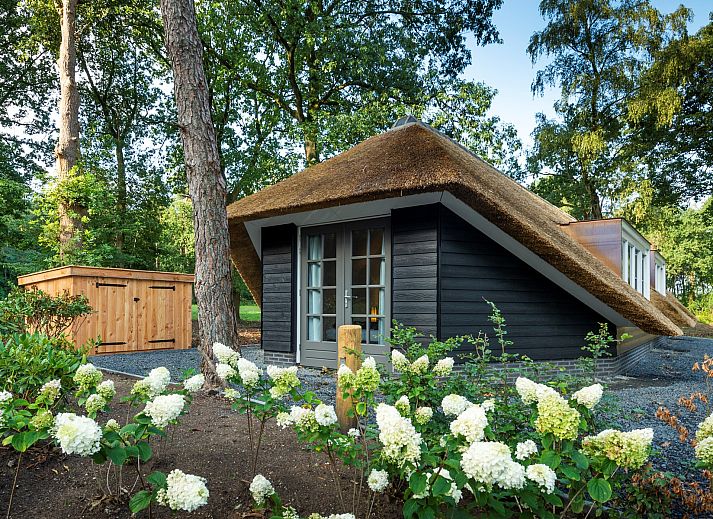 Geniessen Sie die Ruhe und den Frieden auf der Veranda des Ferienhauses Sprielderbosch 31 Lindenhorst in Putten, Veluwe, Gelderland.