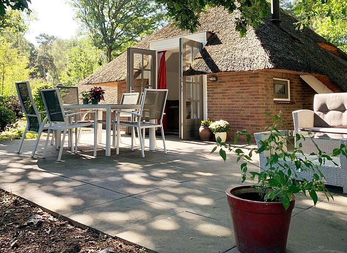 Unterkunft 322043 - Ferienhaus Veluwe - Vakantiewoning Sprielderbosch 38 "De Houten Uil" op de Veluw