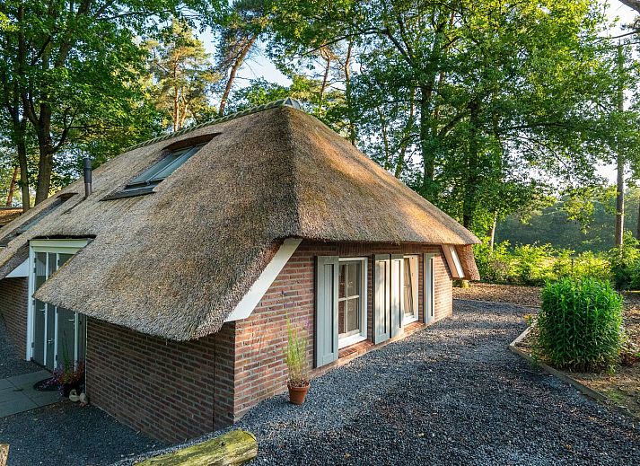 Unterkunft 322043 - Ferienhaus Veluwe - Vakantiewoning Sprielderbosch 38 "De Houten Uil" op de Veluw
