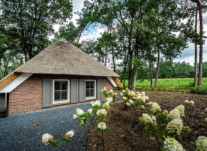 Unterkunft 322043 - Ferienhaus Veluwe - Vakantiewoning Sprielderbosch 38 "De Houten Uil" op de Veluw