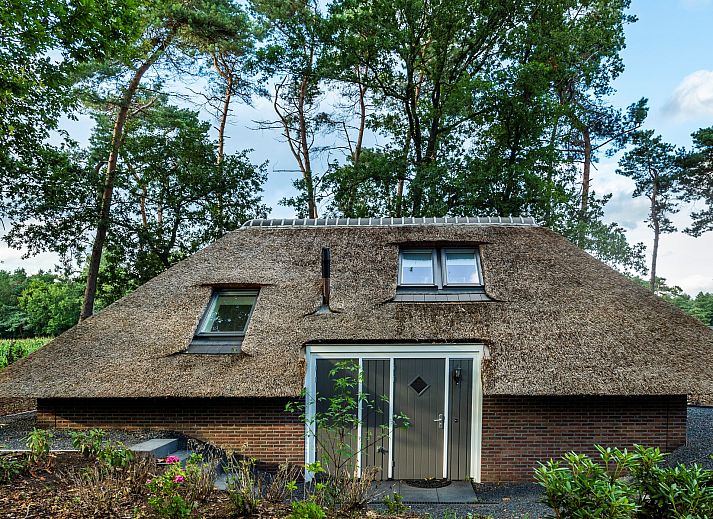 Unterkunft 322043 - Ferienhaus Veluwe - Vakantiewoning Sprielderbosch 38 "De Houten Uil" op de Veluw