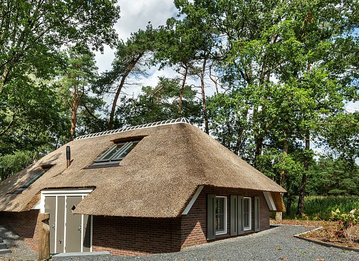 Unterkunft 322043 - Ferienhaus Veluwe - Vakantiewoning Sprielderbosch 38 "De Houten Uil" op de Veluw