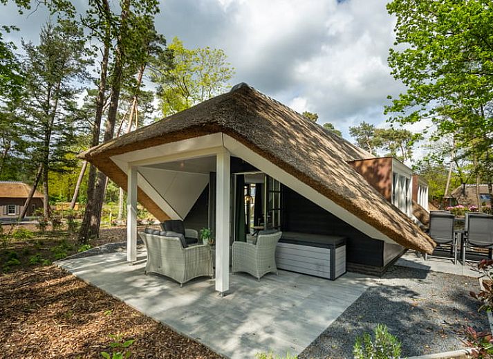Veranda von Huisje in Putten, ein Ferienhaus an der Veluwe in Gelderland, umgeben von Natur und ruhigen Waeldern.