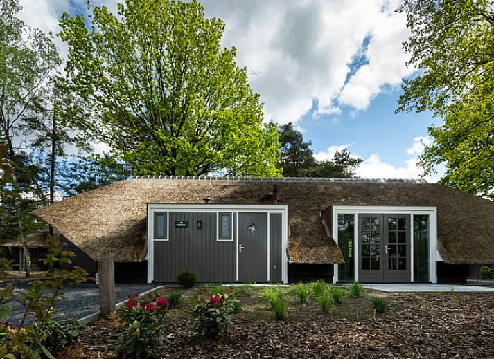Veranda von Huisje in Putten, ein Ferienhaus an der Veluwe in Gelderland, umgeben von Natur und ruhigen Waeldern.