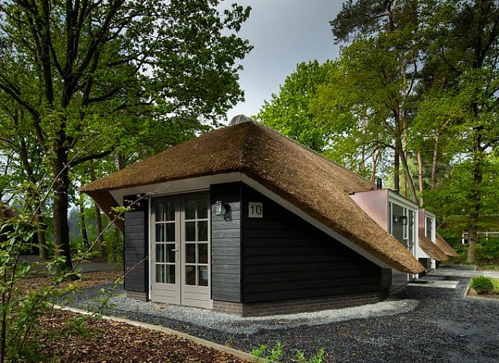 Veranda von Huisje in Putten, ein Ferienhaus an der Veluwe in Gelderland, umgeben von Natur und ruhigen Waeldern.