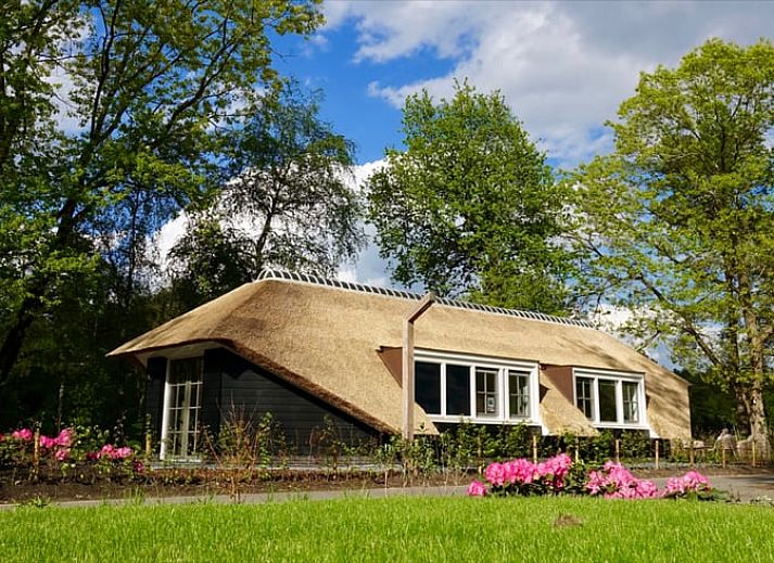 Verblijf 322055 - Vakantiewoning Veluwe - Vakantiehuis in Putten