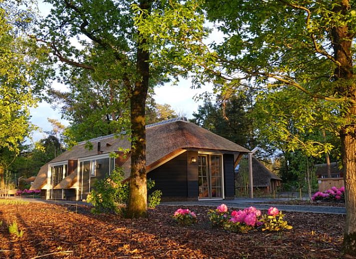 Verblijf 322055 - Vakantiewoning Veluwe - Vakantiehuis in Putten