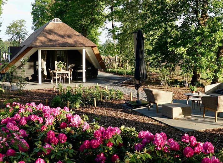 Verblijf 322055 - Vakantiewoning Veluwe - Vakantiehuis in Putten