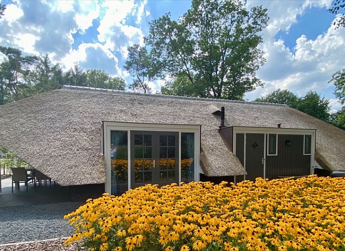 Verblijf 322055 - Vakantiewoning Veluwe - Vakantiehuis in Putten