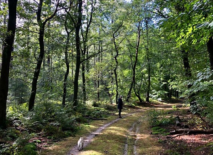 Verblijf 322055 - Vakantiewoning Veluwe - Vakantiehuis in Putten