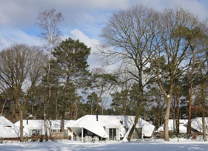 Verblijf 322055 - Vakantiewoning Veluwe - Vakantiehuis in Putten