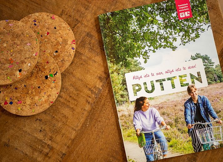 Gemuetliches Wohnzimmer des Ferienhauses Sprielderbosch 27 De Uitlaat in Putten, Veluwe mit moderner Einrichtung.