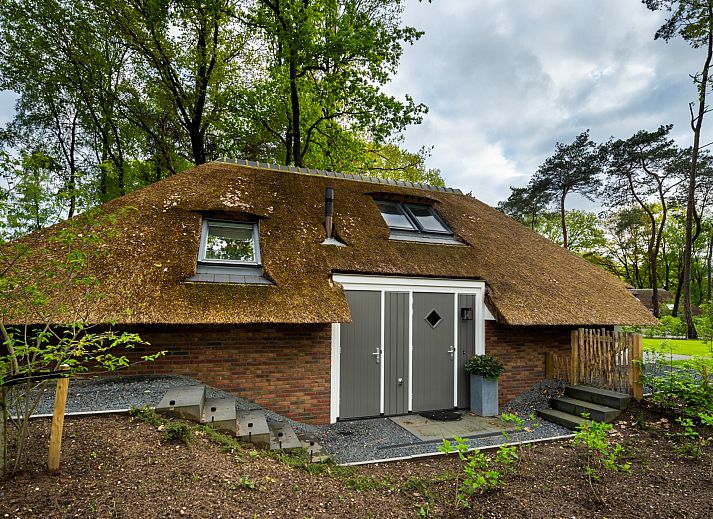 Warme Decke auf dem Sofa im Ferienhaus Sprielderbosch 27 De Uitlaat in Putten, Veluwe, ein perfekter Ort zum Ausruhen.
