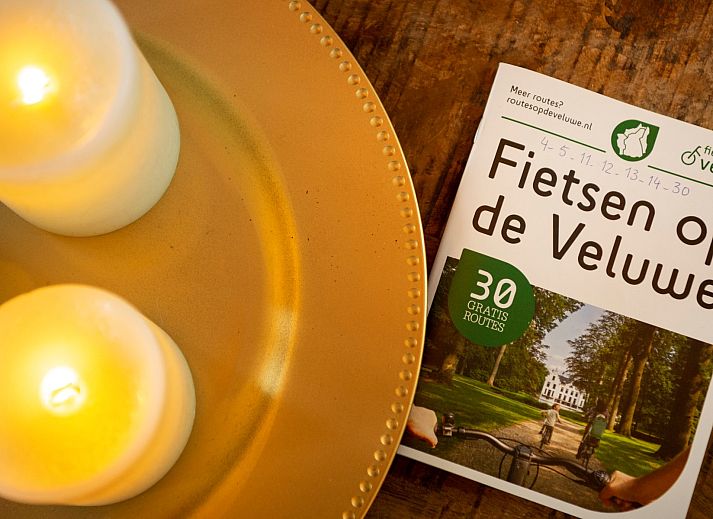 Warme Decke auf dem Sofa im Ferienhaus Sprielderbosch 27 De Uitlaat in Putten, Veluwe, ein perfekter Ort zum Ausruhen.