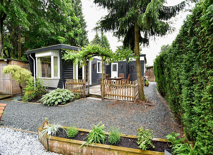 Verblijf 322069 - Chalet Veluwe - Reewold