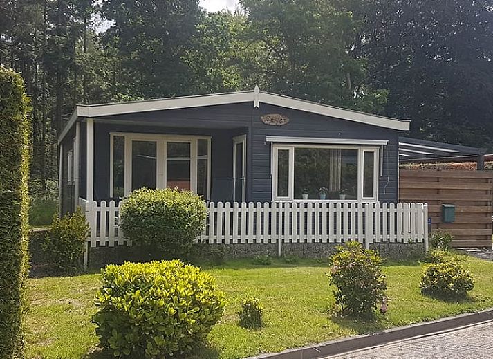 Verblijf 322079 • Bungalow Veluwe • Heihaas | 4-persoonsbungalow - comfort | type 4C2