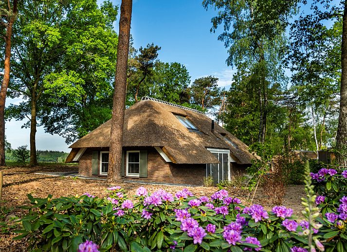 Verblijf 322089 • Vakantiewoning Veluwe • Buitenplaats Sprielderbosch 20 "Huize Klaterbos" 