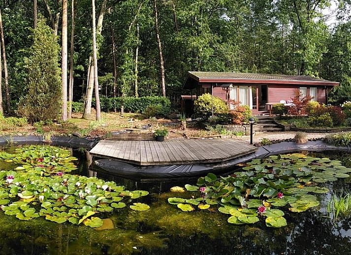 Unterkunft 322093 • Ferienhaus Veluwe • Buitenplaats Sprielderbosch 20 "Huize Klaterbos"