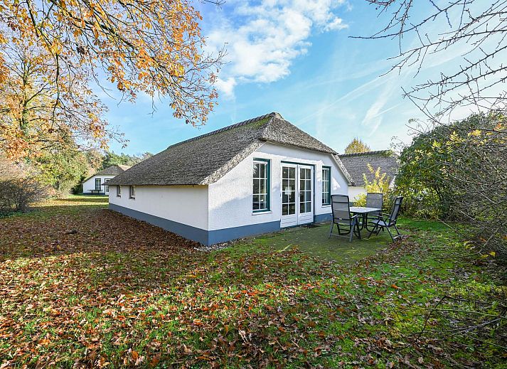 Guest house 322097 - Holiday property Veluwe - Vrijstaande woning in Putten