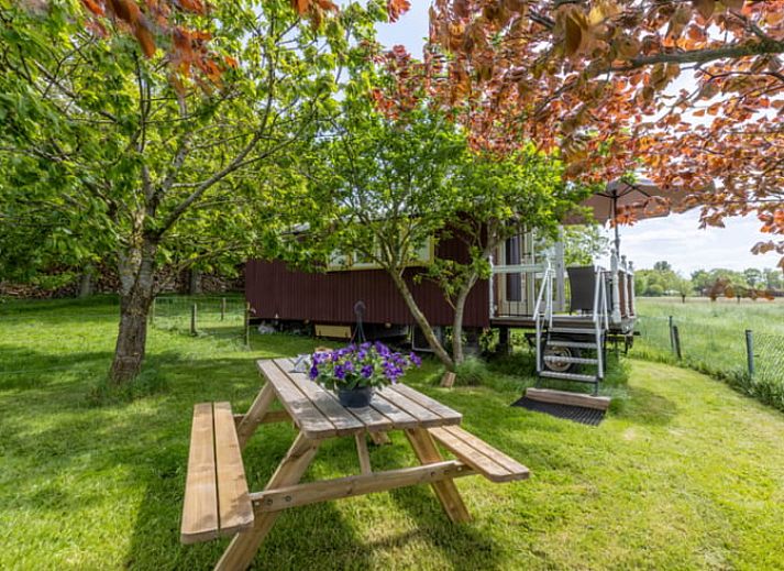 Enjoy the view from Holiday Home in Wezep/Oldebroek in Veluwe, Gelderland.