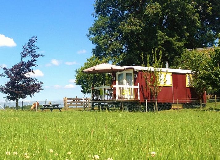 Enjoy the view from Holiday Home in Wezep/Oldebroek in Veluwe, Gelderland.