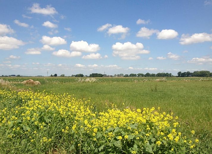 Outdoor area with picnic table at Holiday home in Wezep/Oldebroek, surrounded by nature on the Veluwe.