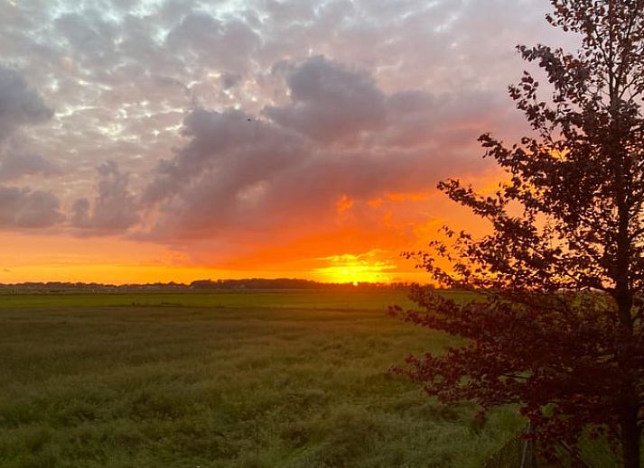 Dining and sitting area in Holiday Home in Wezep/Oldebroek, ideal for a relaxing Veluwe vacation.