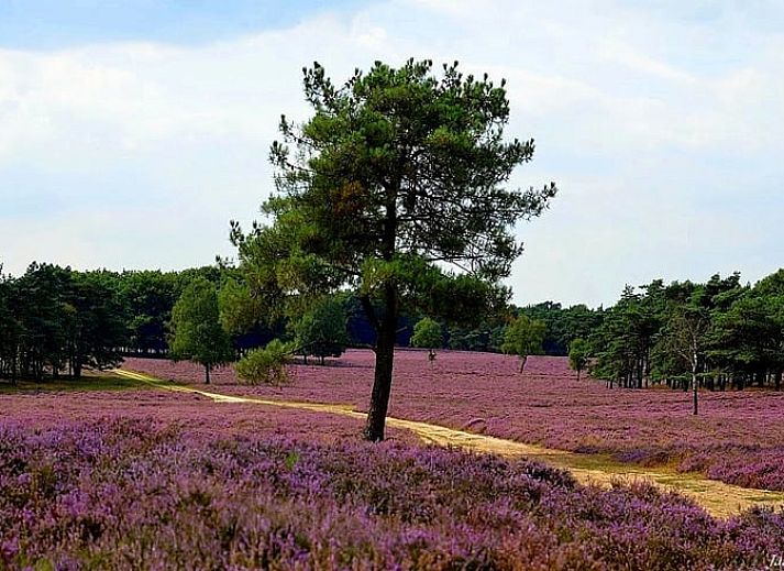 Cozy wood stove in Holiday Home in Wezep/Oldebroek, perfect for a warm evening in the Veluwe.