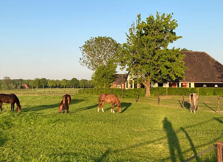 Unterkunft 322109 - Ferienhaus Veluwe - Vakantiehuis in Wezep