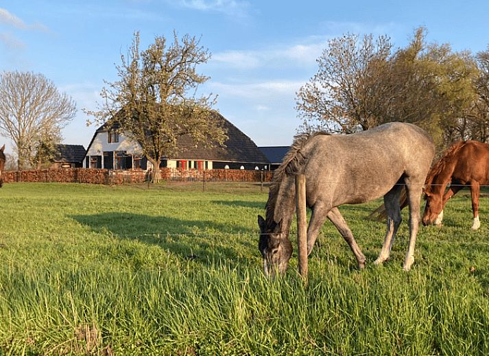 Charming Holiday Home in Wezep Oldebroek in the Veluwe, Gelderland with a rural feel.
