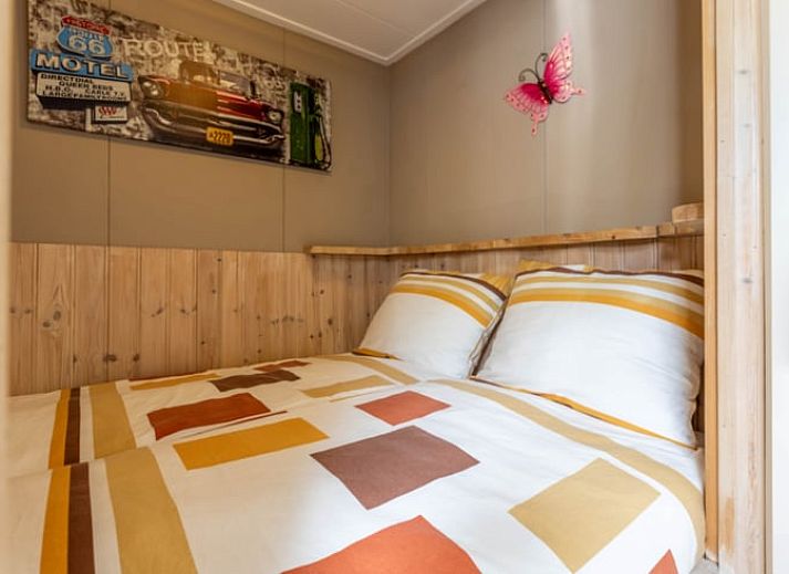 Beautiful surroundings of Holiday home in Wezep Oldebroek, Veluwe, Gelderland with grazing horses.