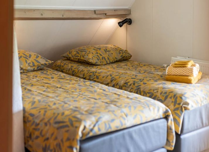 Beautiful surroundings of Holiday home in Wezep Oldebroek, Veluwe, Gelderland with grazing horses.