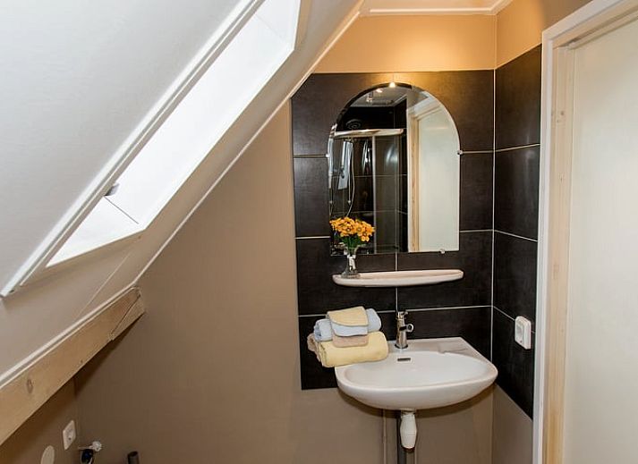 Beautiful surroundings of Holiday home in Wezep Oldebroek, Veluwe, Gelderland with grazing horses.