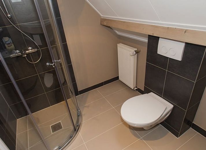 Beautiful surroundings of Holiday home in Wezep Oldebroek, Veluwe, Gelderland with grazing horses.