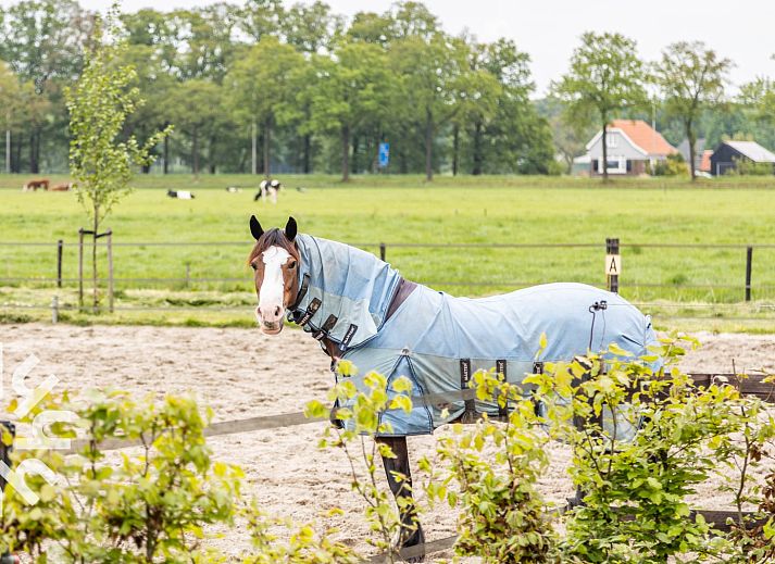 Luxe badkamer in vakantiehuis DG1461 in Wezep, Veluwe, Gelderland met dubbele wastafel en grote spiegel.