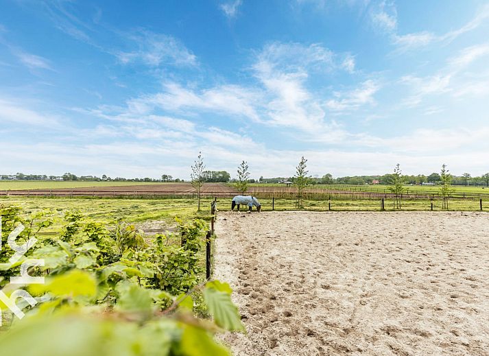 Moderne keuken in vakantiehuis DG1461 in Wezep, Veluwe, Gelderland met stijlvolle inrichting.