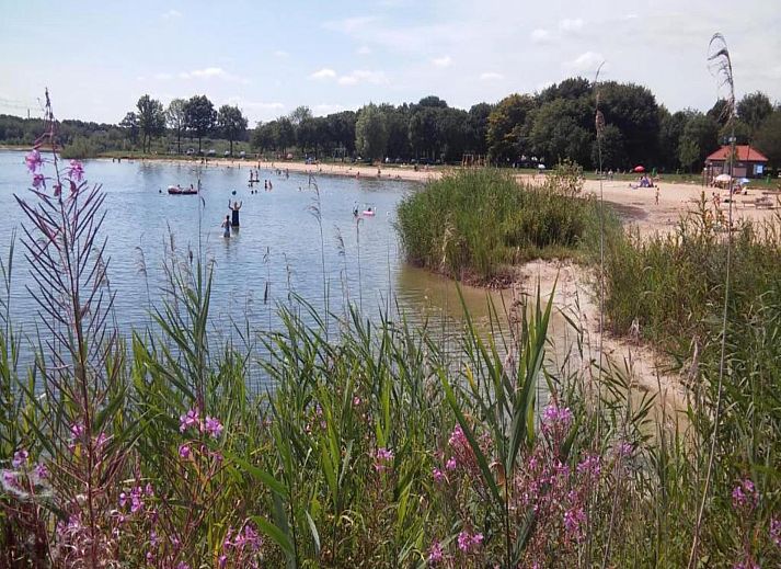 Guest house 3222105 - Holiday property Veluwe - Landgoed De IJsvogel 10