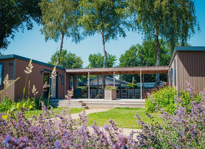 Verblijf 3222109 - Vakantiewoning Veluwe - Familielodge