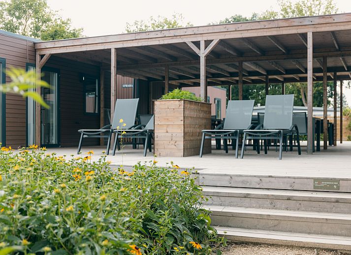 Verblijf 3222109 - Vakantiewoning Veluwe - Familielodge