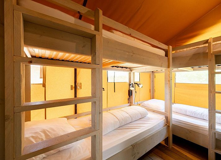 Unterkunft 3222110 - Zelthaus Veluwe - Nomad