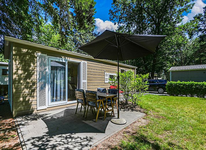 Guest house 3222114 • Chalet Veluwe • Chalet in hartje Veluwe
