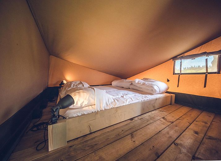 Unterkunft 3222120 - Zelthaus Veluwe - Safaritent 'Edelhert'