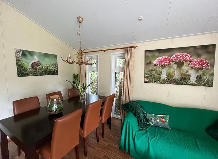 Unterkunft 3222124 - Ferienhaus Veluwe - De Veluwse Eekhoorn