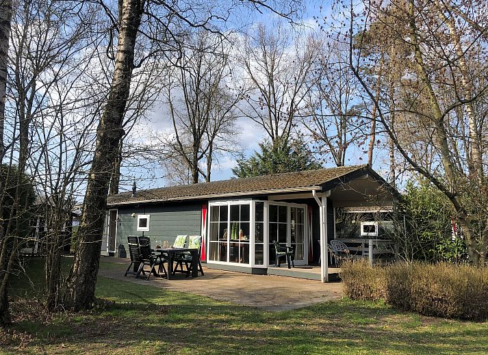 Unterkunft 3222124 - Ferienhaus Veluwe - De Veluwse Eekhoorn