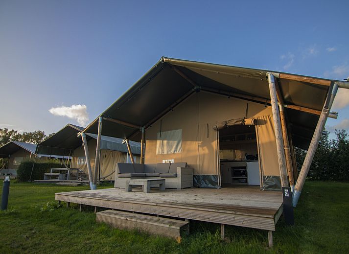 Unterkunft 3222125 - Zelthaus Veluwe - Safaritent