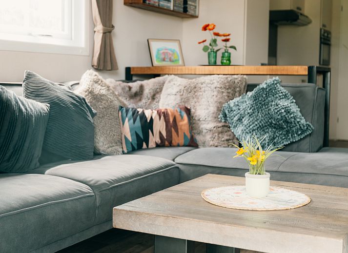 Guest house 3222133 - Holiday property Veluwe - Veluwelounge + privé sauna