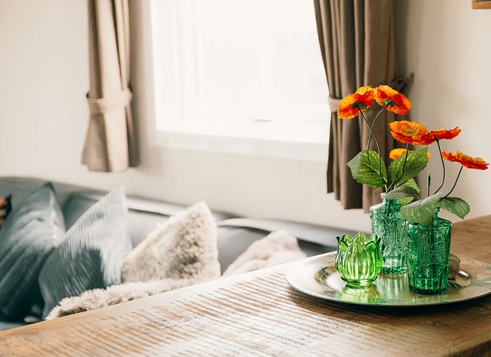 Guest house 3222133 - Holiday property Veluwe - Veluwelounge + privé sauna